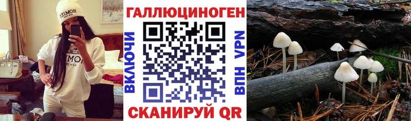 Псилоцибиновые грибы ЛСД  наркотики  Нерчинск 